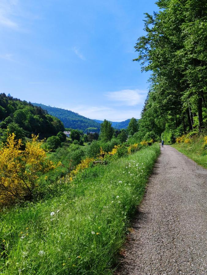 Fewo Albtaleck - Wohnen Im Kurort Waldbronn Zewnętrze zdjęcie